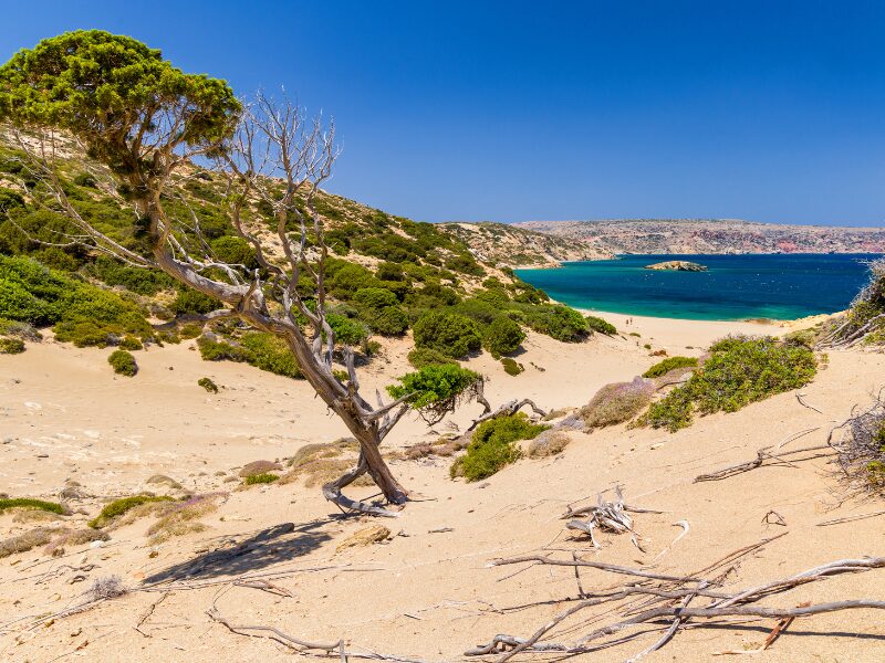 Psili Ammos Vai nudist friendly Beach crete