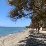 Villasm Hotels and Apartments in Tavronitis Crete