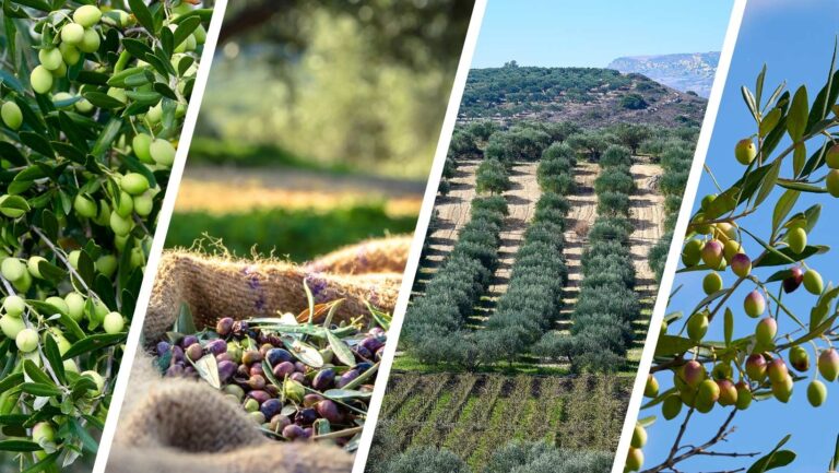Ecotourism in Crete | CreteLocals