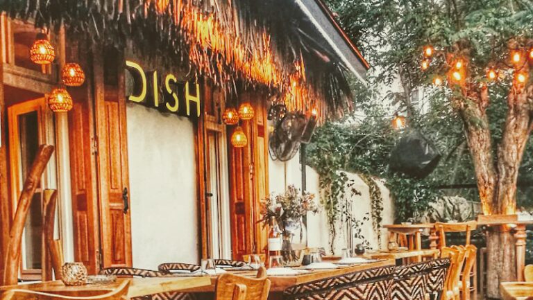 Dish Bar Party Restaurant