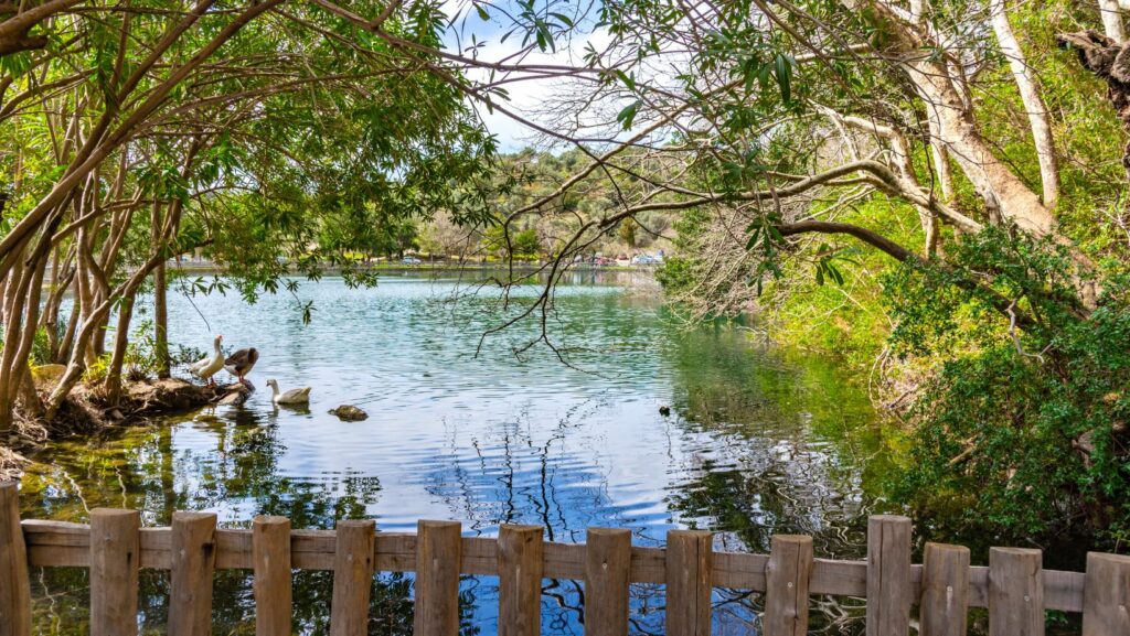 Lake Zaros