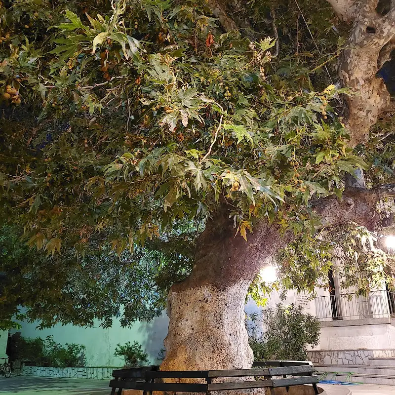 Apartments and hotels in Akoumia from Crete Island