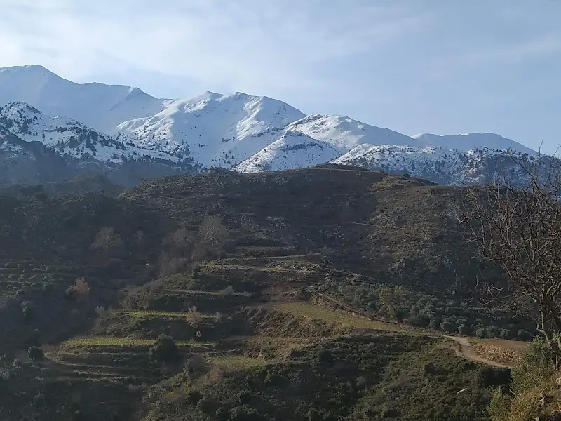 Apartments and hotels in Drakona from Crete Island