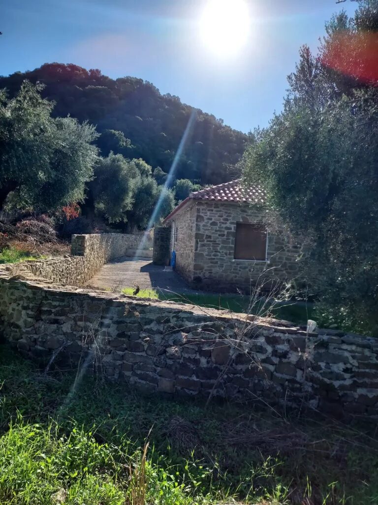 Apartments and hotels in Evangelismos village from Crete Island