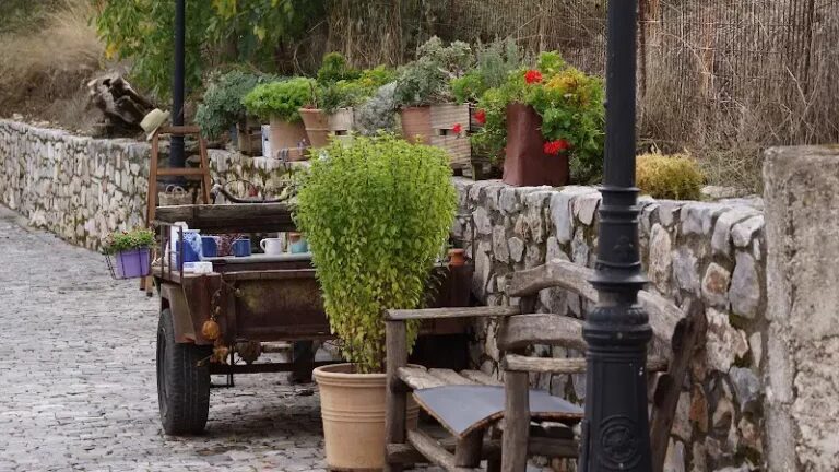 Explore Krassi Village: 4 Hotels and Villas for Perfect Holidays