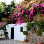 Apartments and hotels in Mariou from Crete Island