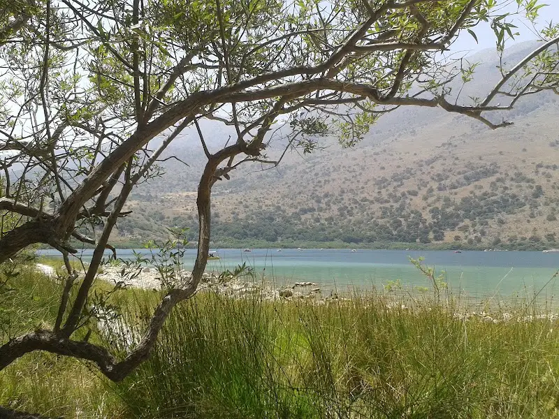 Apartments and hotels in Mouri from Crete Island
