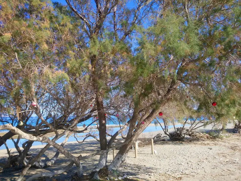 Apartments and hotels in Petras from Crete Island