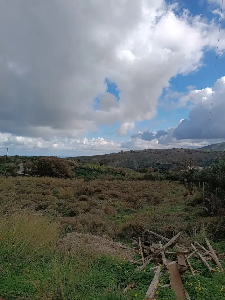 Apartments and hotels in Somatas from Crete Island