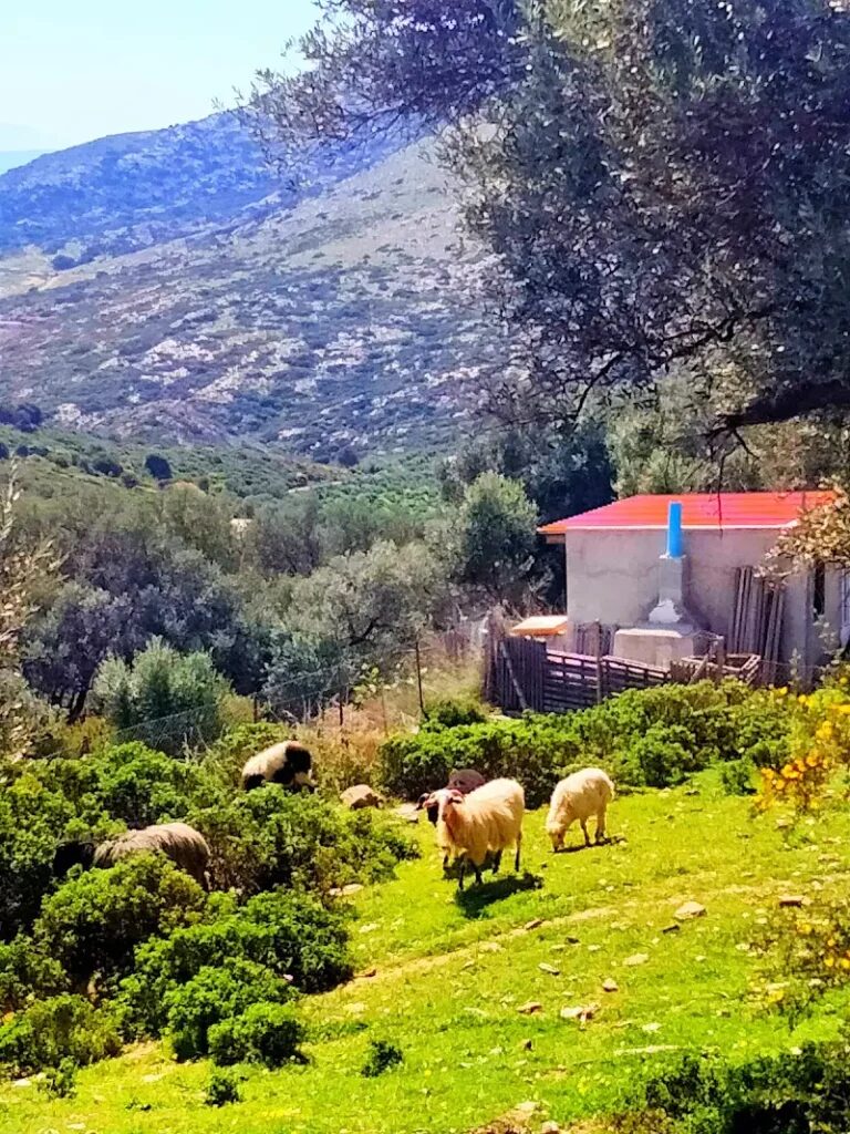 Best things to do in Achlada in 2024: Activities and Attractions