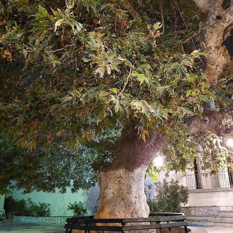 Best Things to do in Akoumia from Crete Island