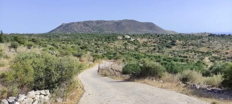 Best things to do in Paleloni in 2024: Activities and Attractions