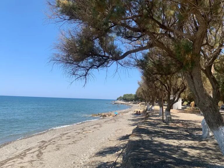 Best things to do in Tavronitis in 2024: Activities and Attractions