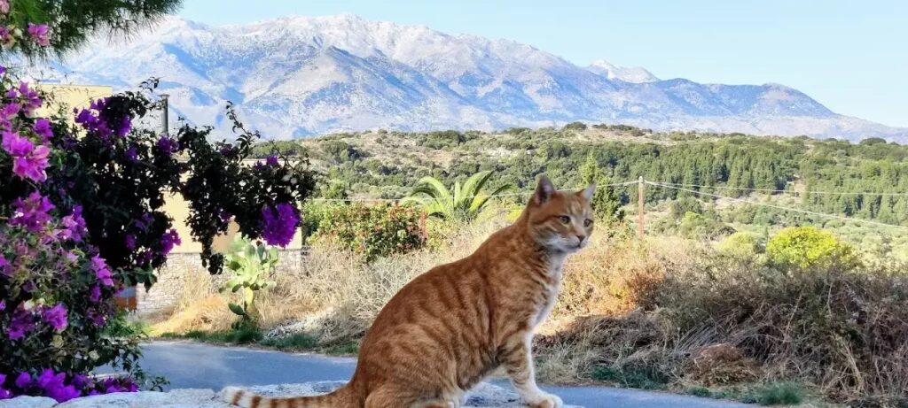 Best Things to do in Vamos town from Crete Island