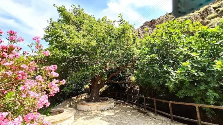 Best things to do in Zakros town in 2024: Activities and Attractions