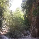 Agia Irini Gorge in Chania Region on Crete Island