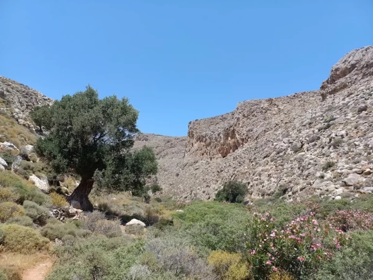 Chochlakies Gorge in Lassithi Region on Crete Island