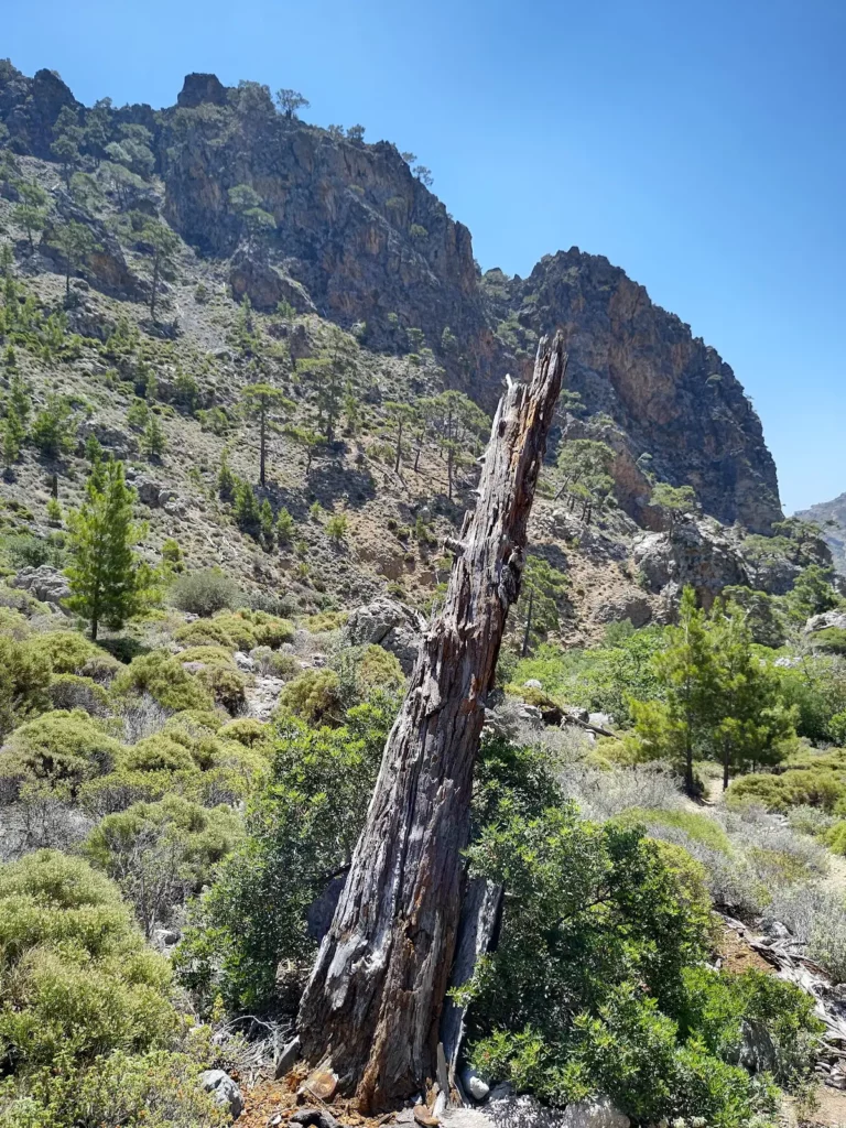 Orino Gorge in Lassithi Region on Crete Island