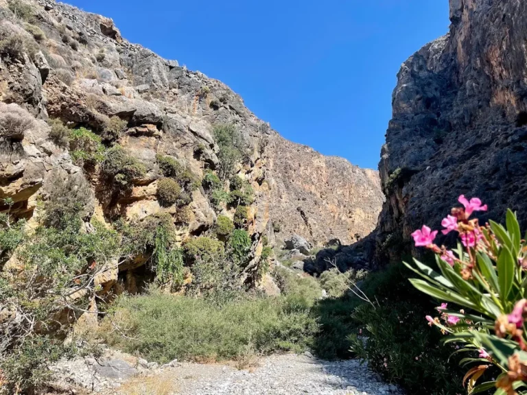Pervolakia Gorge in Lassithi Region on Crete Island