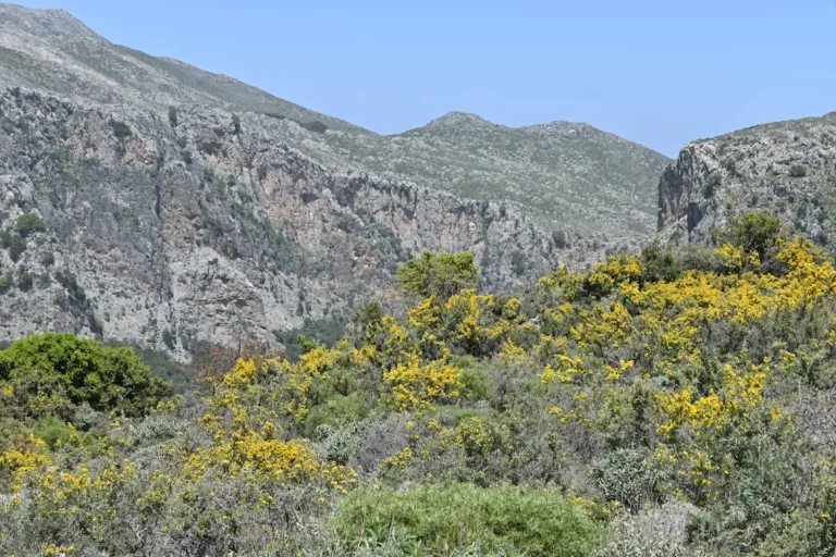 Sirikari Gorge in Chania Region on Crete Island
