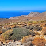 Xerokambos Gorge Lamnoni in Lassithi Region on Crete Island