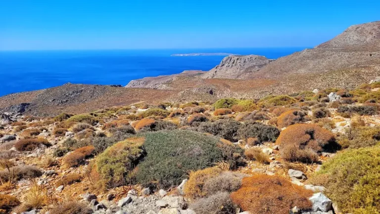 Xerokambos Gorge Lamnoni in Lassithi Region on Crete Island