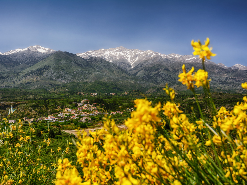 spring in Crete with flowers and snow on top of the mountains