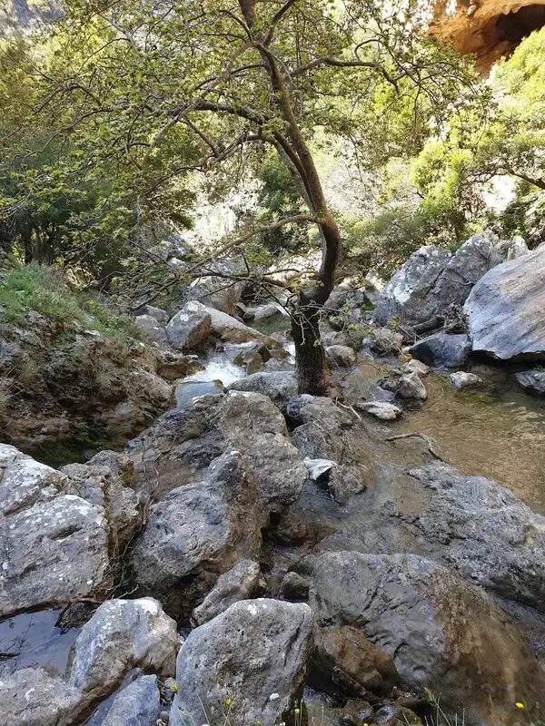 Agia Fotia Gorge