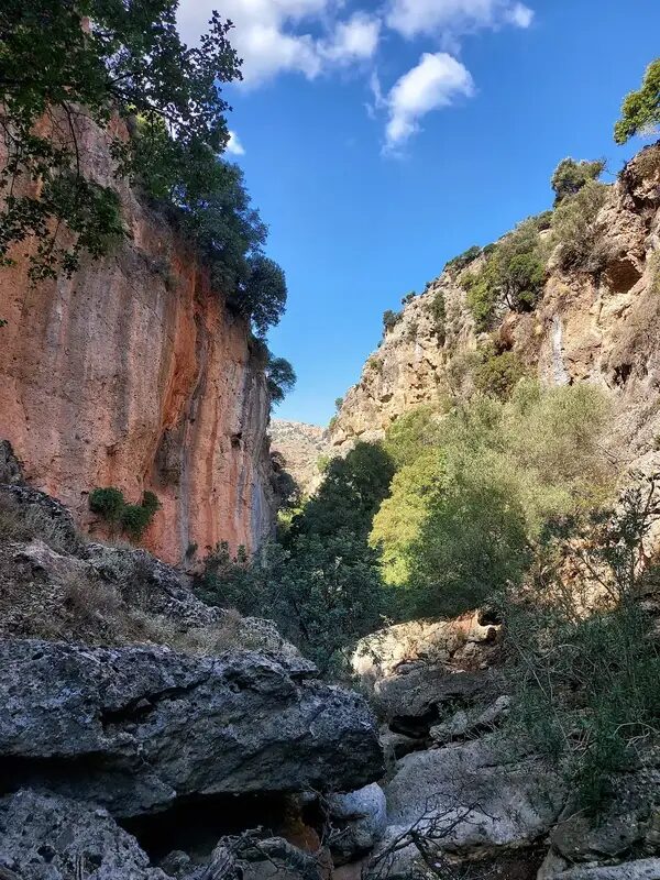 Cyclamen Gorge