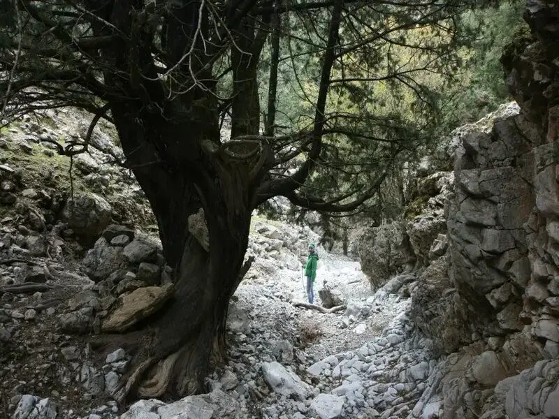 Kavis Gorge