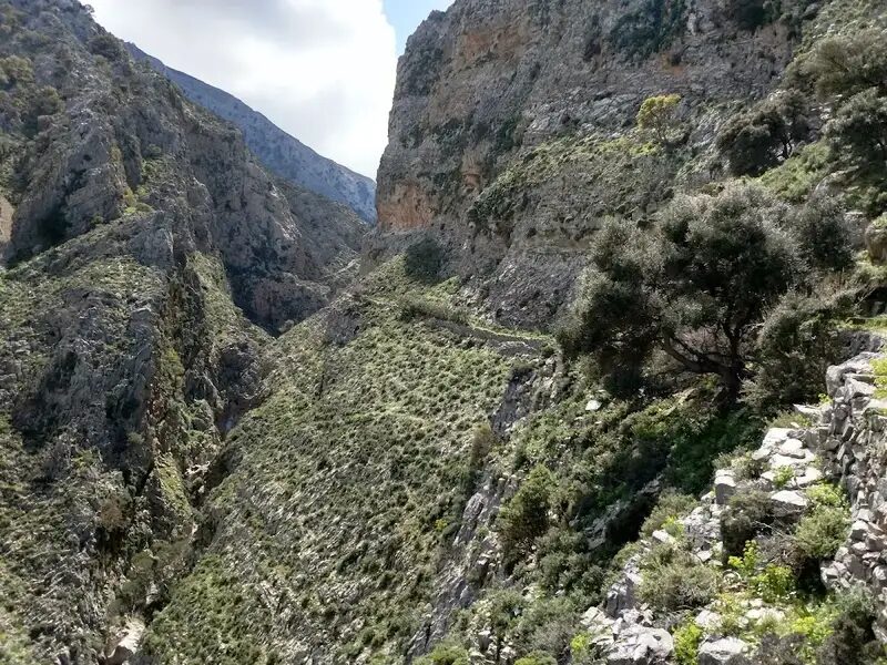 Mesonas Gorge