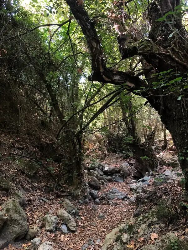 Moundros Gorge (Kollita)
