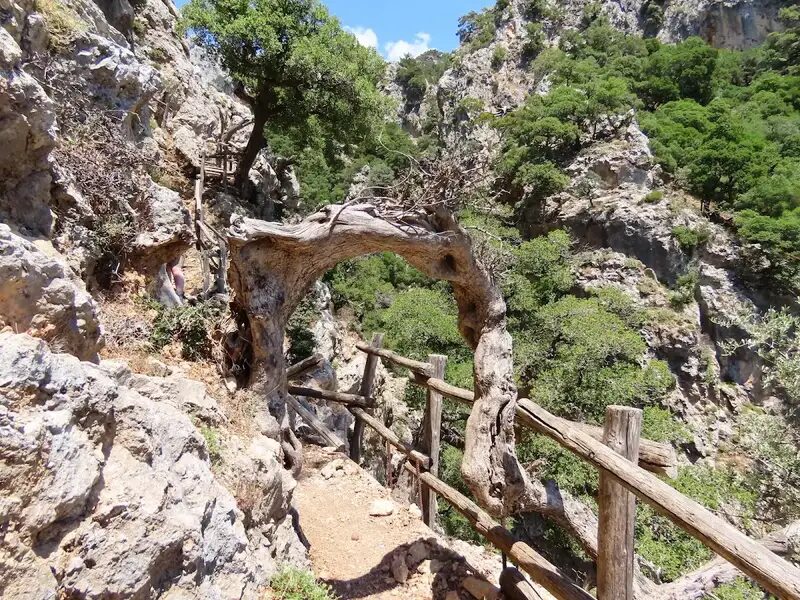 Platania Gorge