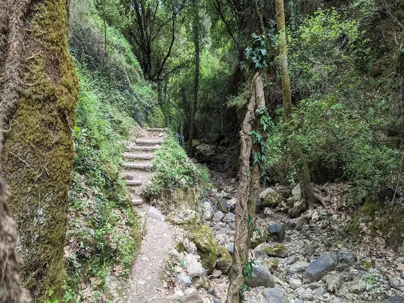 Sarakina Gorge Meskla Chania Crete Island