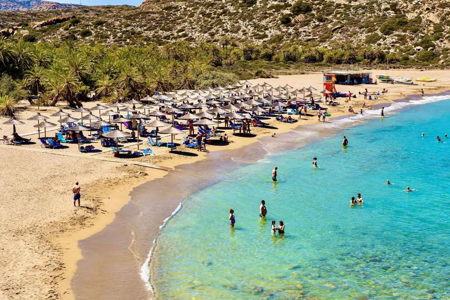 Vai Palm Beach, Toplou Monastery and Sitia Day Tour