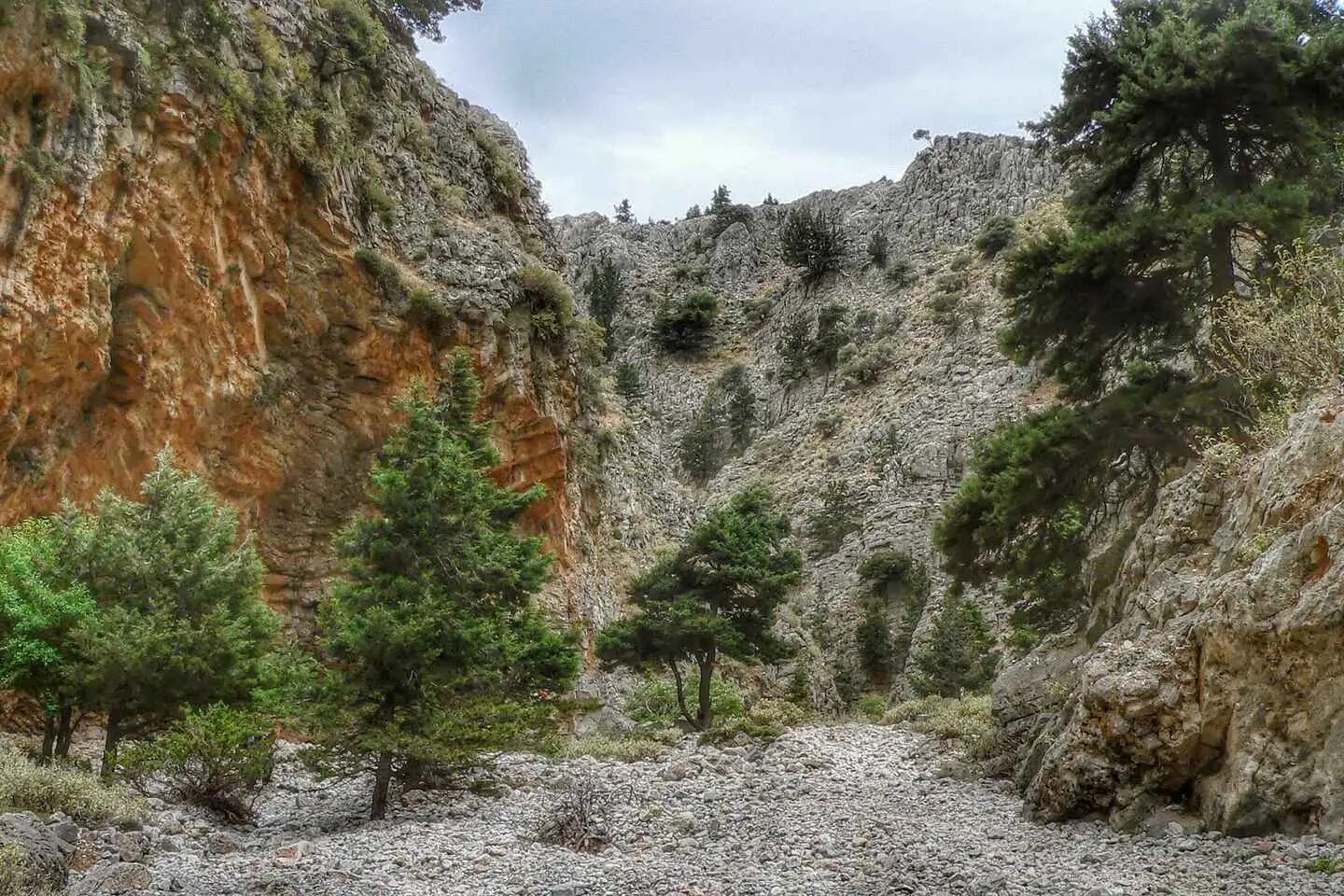 From Chania/Almyrida : Imbros Gorge Hike