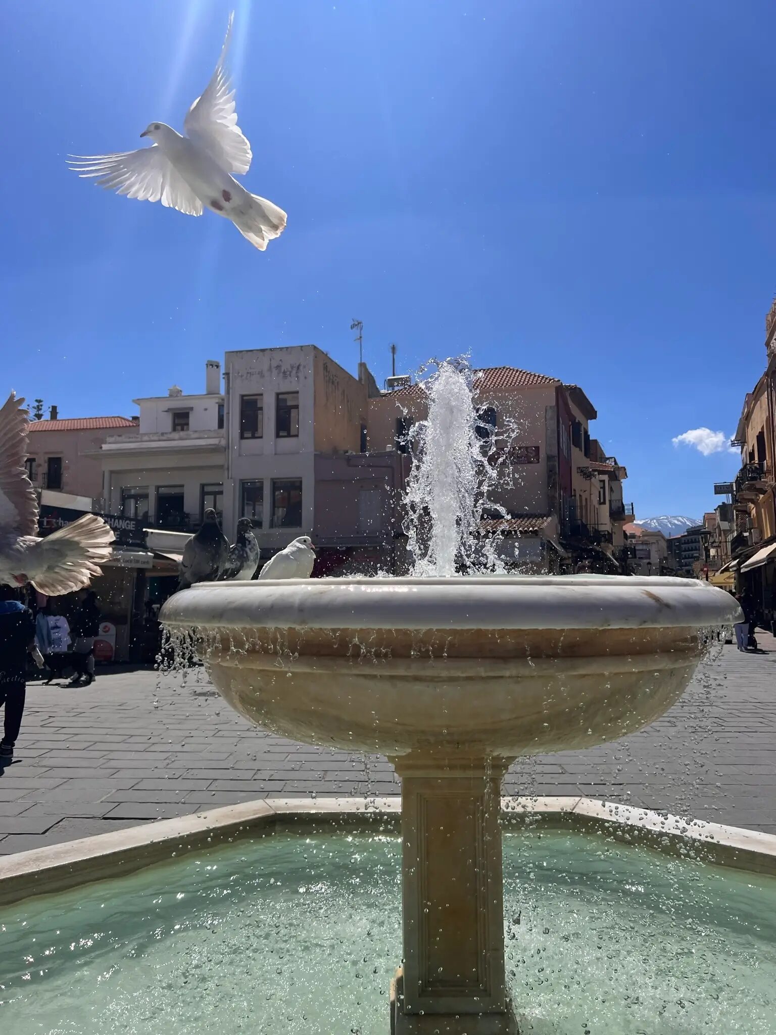 chania town crete | CreteLocals
