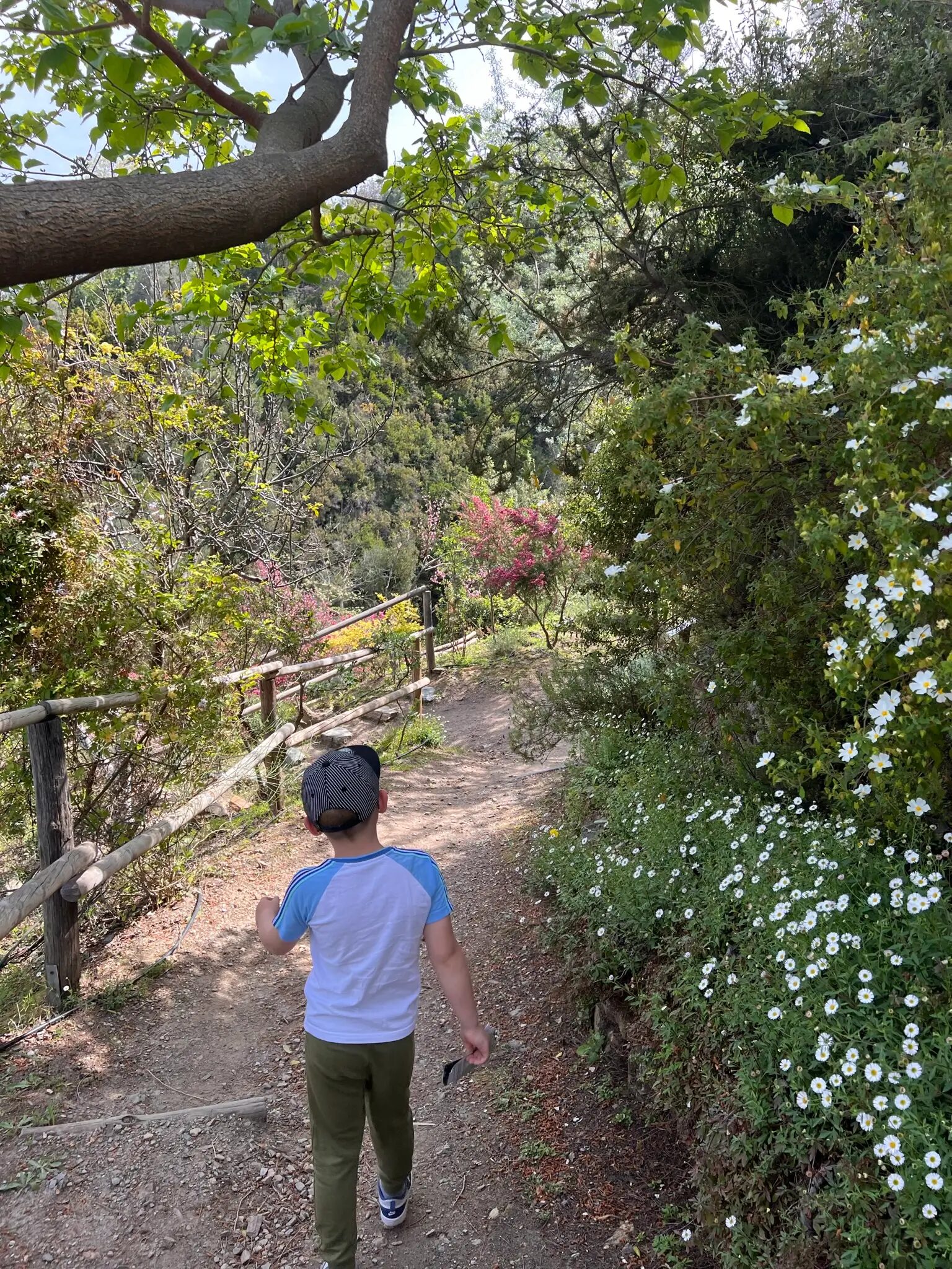 kid works in the botanical gardens in crete | CreteLocals
