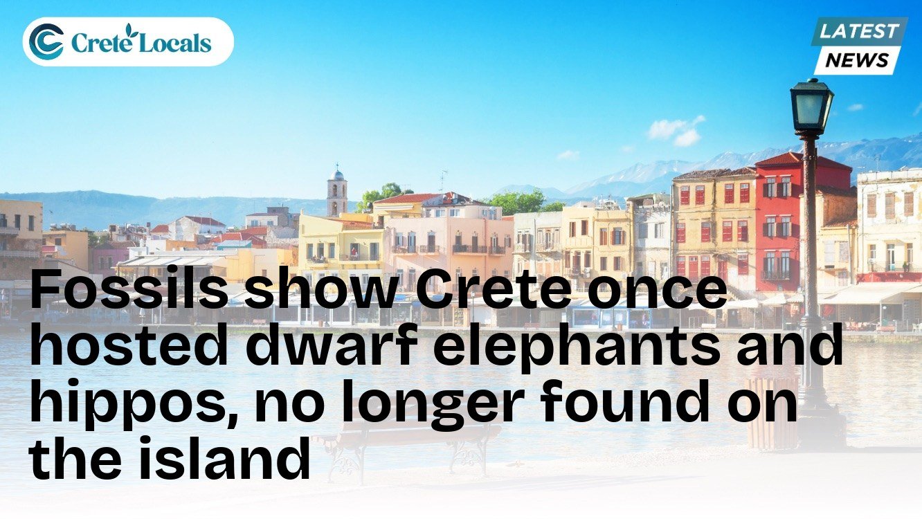 Fossils show Crete once hosted dwarf elephants and hippos, no longer found on the island