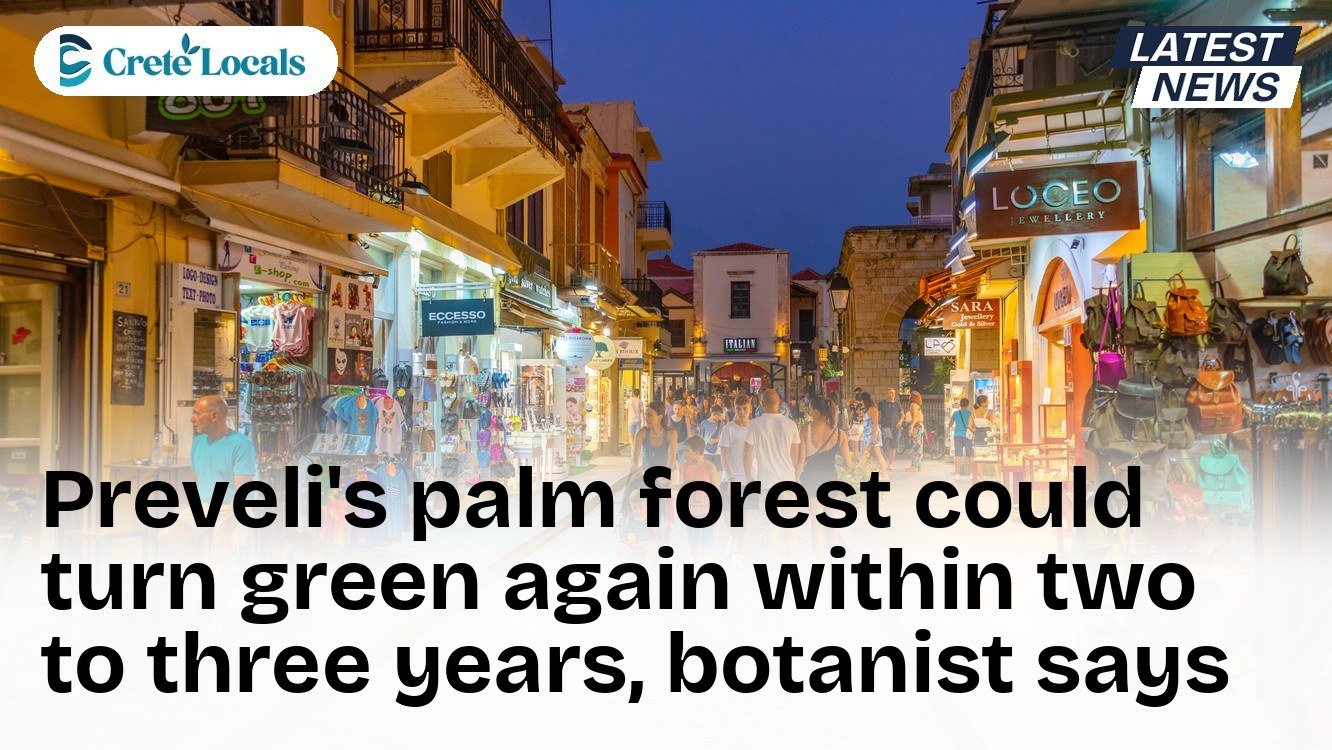 Preveli's palm forest could turn green again within two to three years, botanist says
