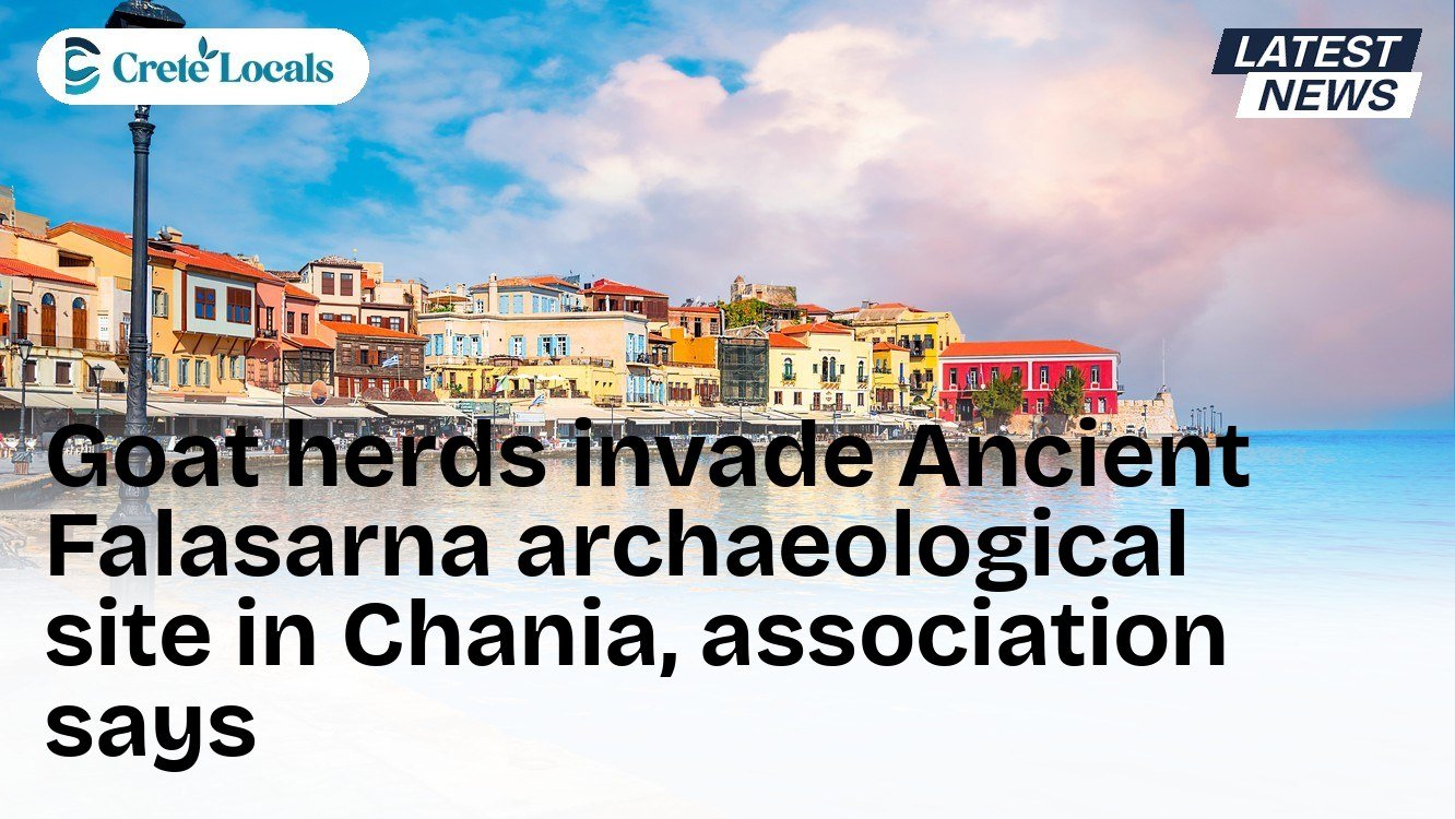 Goat herds invade Ancient Falasarna archaeological site in Chania, association says