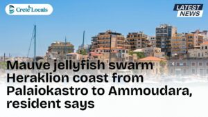 mauve jellyfish swarm heraklion coast palaiokastro ammoudara og | CreteLocals