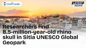 rhino skull 85 million years sitia geopark og | CreteLocals