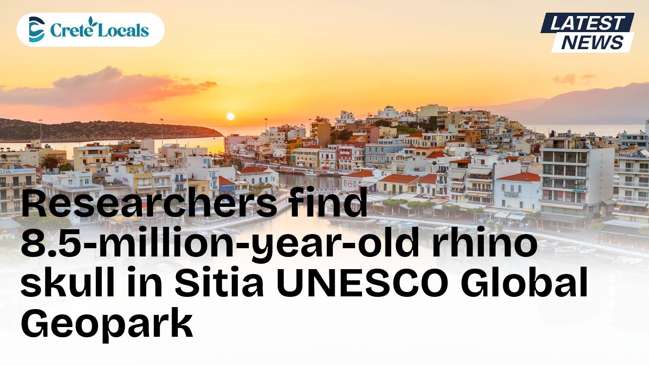 Researchers find 8.5-million-year-old rhino skull in Sitia UNESCO Global Geopark