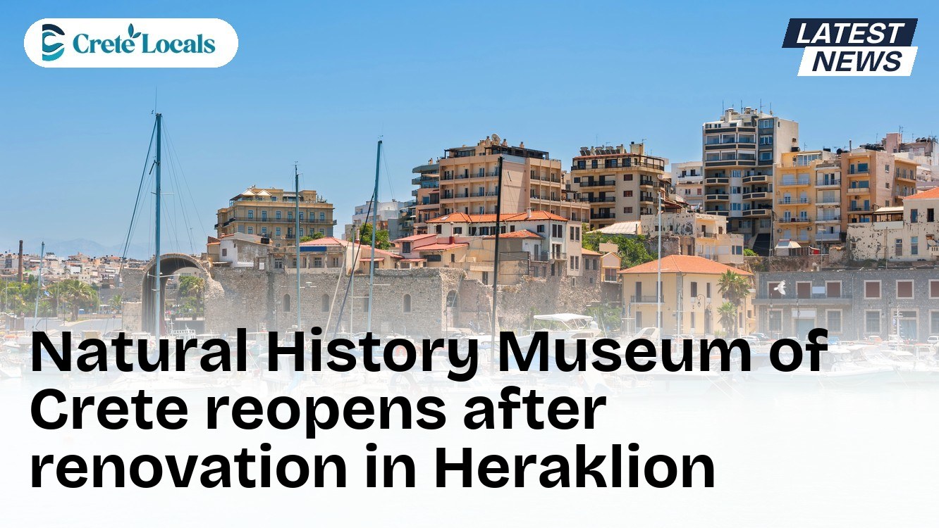 natural history museum crete reopens renovation heraklion og | CreteLocals